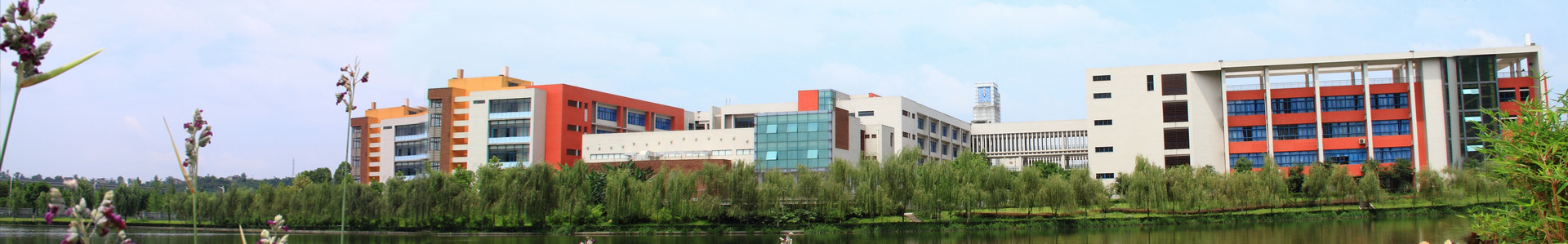 为学习而努力