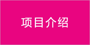 项目介绍