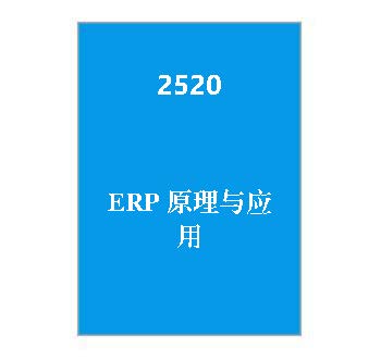 2520+ERP原理与应用